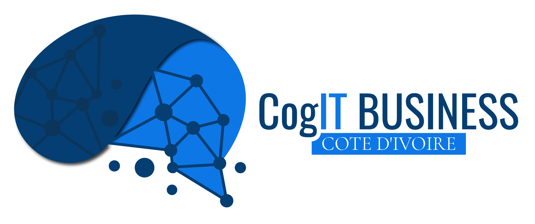 CogIT Business